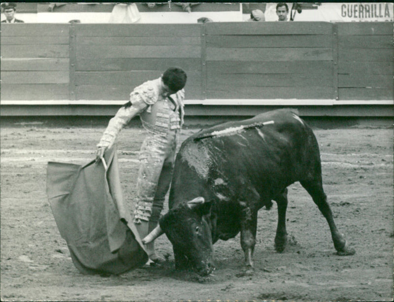 Cesar Rincon fights bull - Vintage Photograph