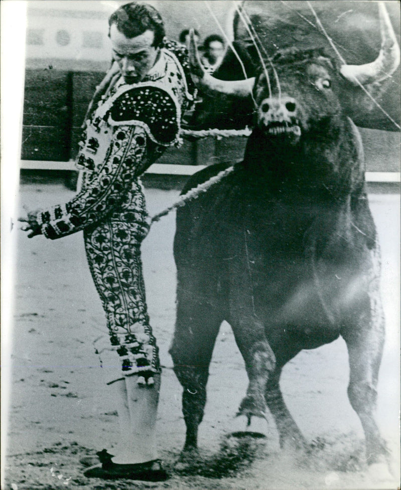 José Miguel Pérez Prudencio, Bullfighter - Vintage Photograph