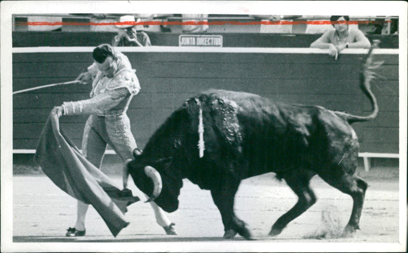 José Edgar Zúñiga, Bullfighter - Vintage Photograph