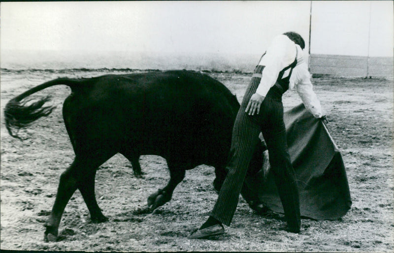 Arturo Villa Pérez, Bullfighter - Vintage Photograph