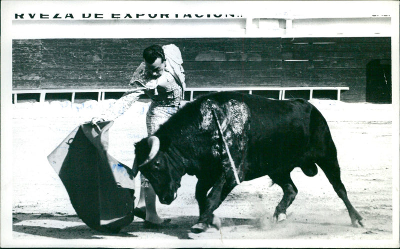 José Edgar Zúñiga, Bullfighter - Vintage Photograph