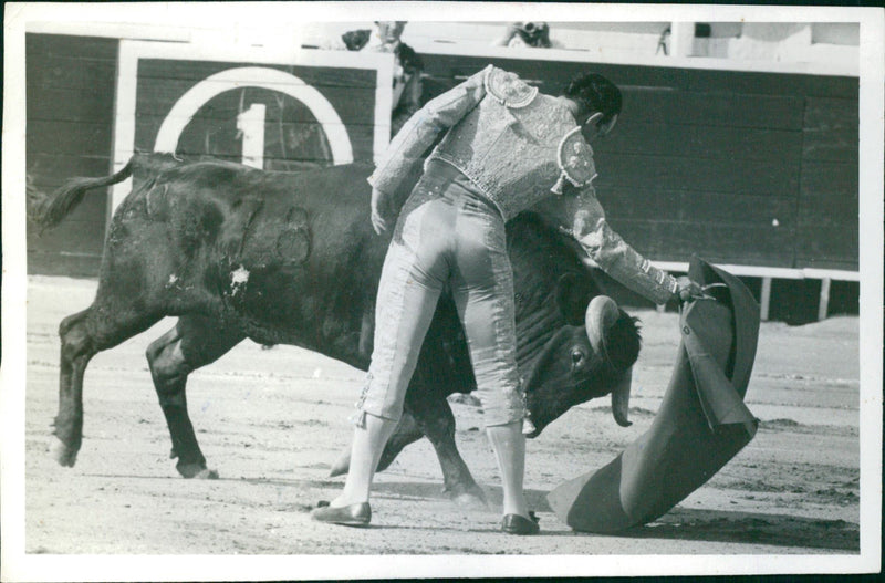 José Edgar Zúñiga, Bullfighter - Vintage Photograph