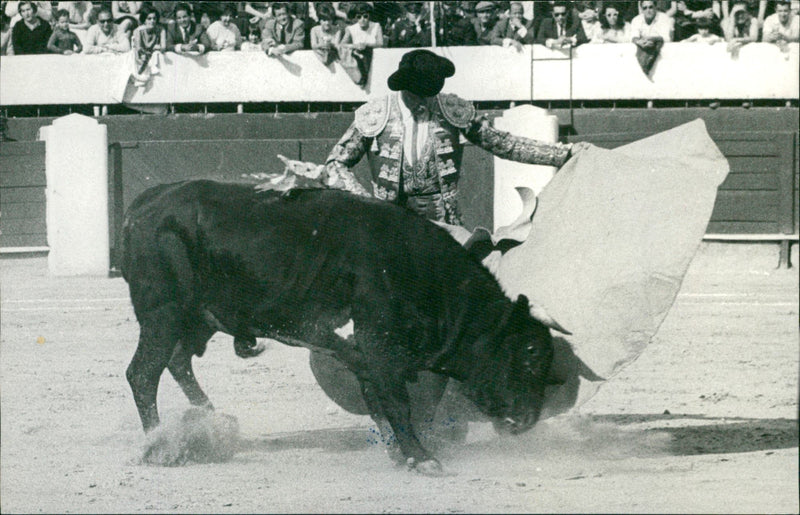 José Edgar Zúñiga, Bullfighter - Vintage Photograph