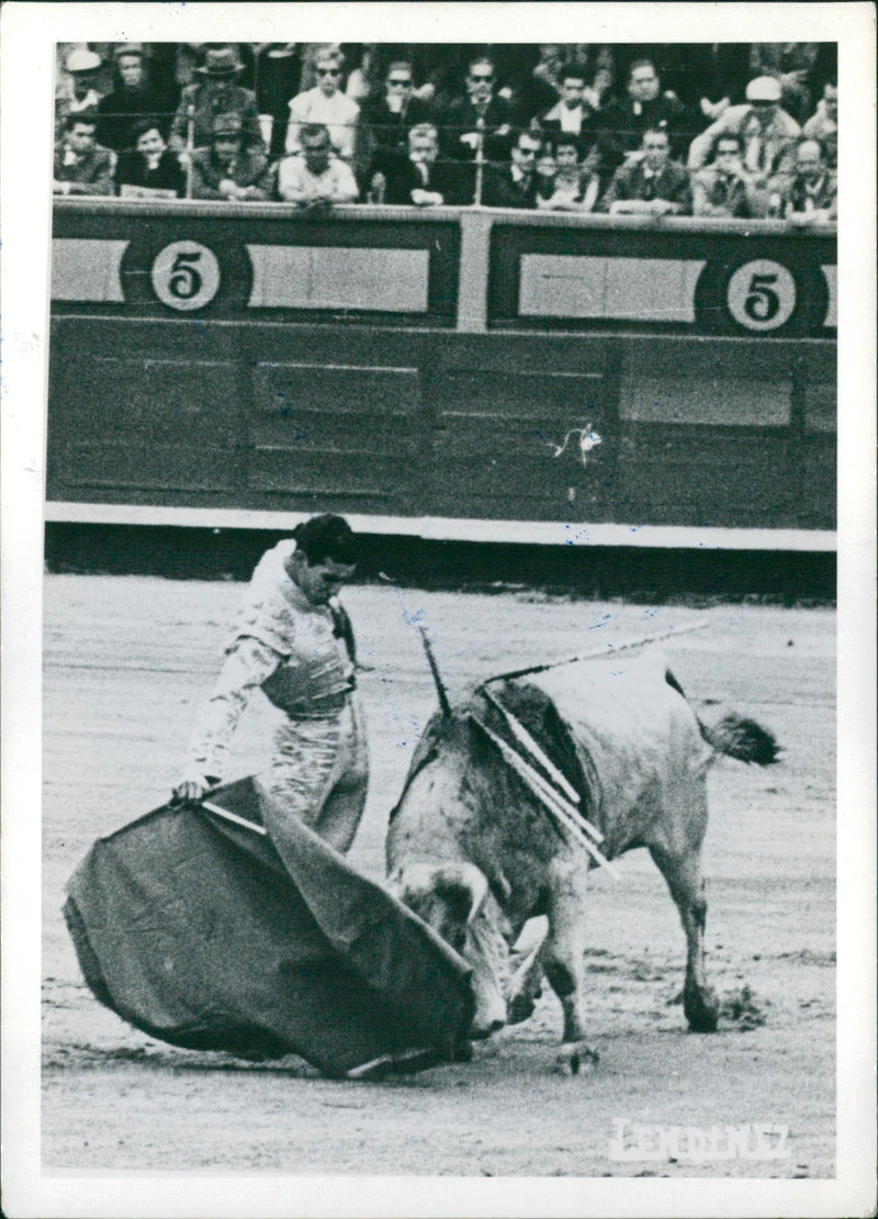 José Edgar Zúñiga, Bullfighter - Vintage Photograph