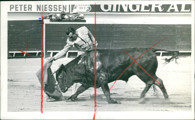 José Miguel Pérez Prudencio, Bullfighter - Vintage Photograph