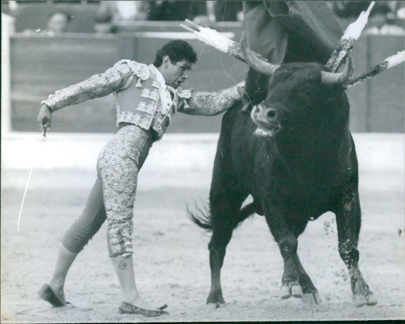 Cesar Camacho, Bullfighter - Vintage Photograph