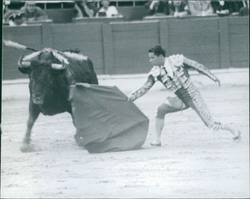 Pepe Manrique, Bullfighter - Vintage Photograph