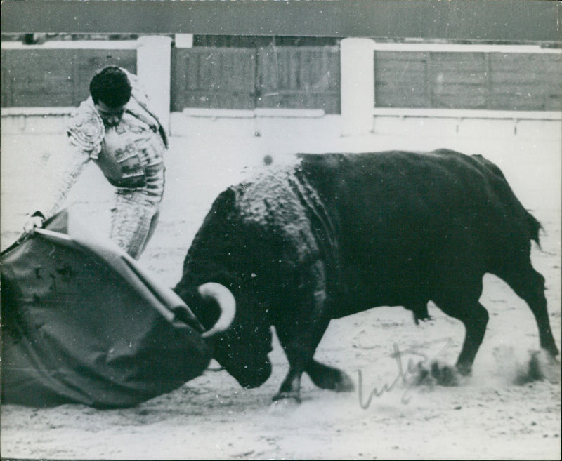 Joselito Castro - Vintage Photograph