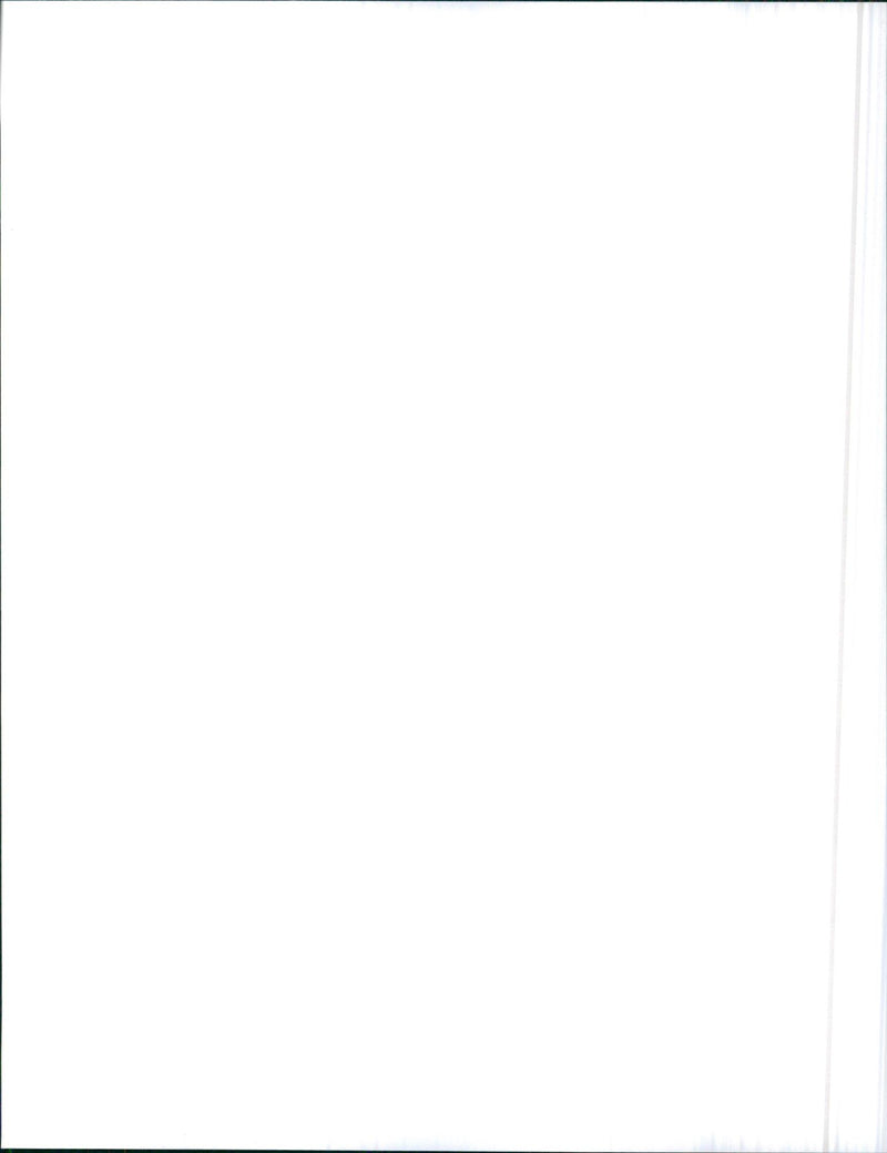 1970 Mercury Monterey - Vintage Photograph