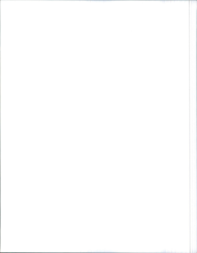 1970 Mercury Cougar - Vintage Photograph