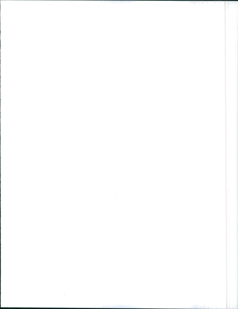 1970 Mercury Montego - Vintage Photograph