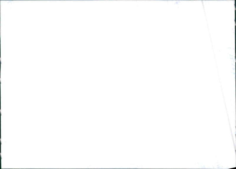 Isuzu Trooper Woodland - Vintage Photograph