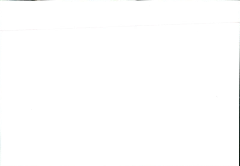 1988 Michelotti Pura - Vintage Photograph