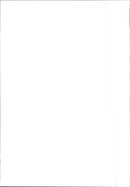 1988 Michelotti Pura - Vintage Photograph