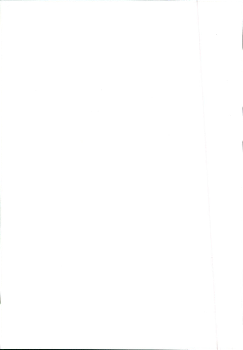 1988 Michelotti Pura - Vintage Photograph