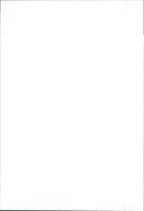 Fiat - Vintage Photograph