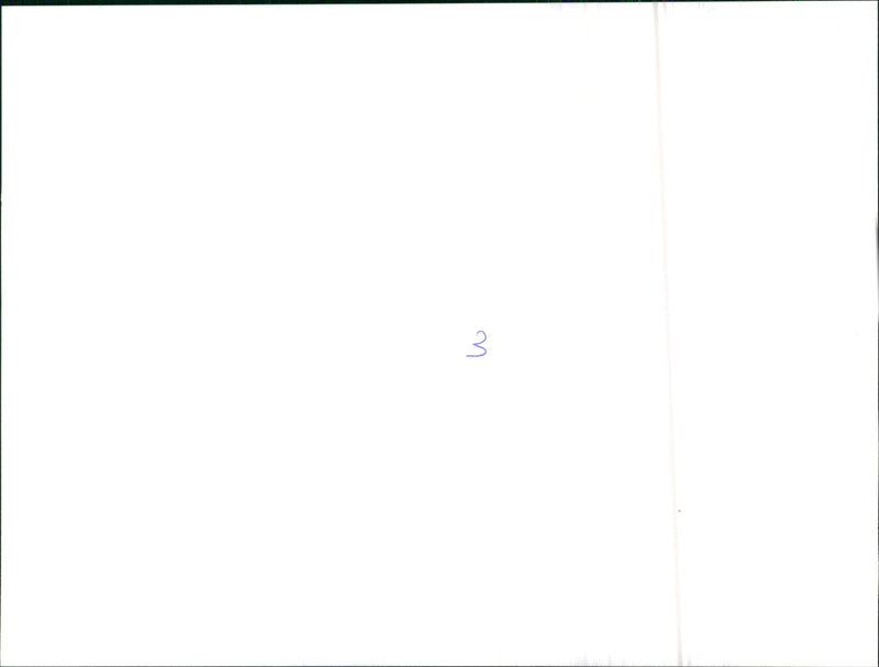 Chevrolet Camaro Z 28 E. - Vintage Photograph