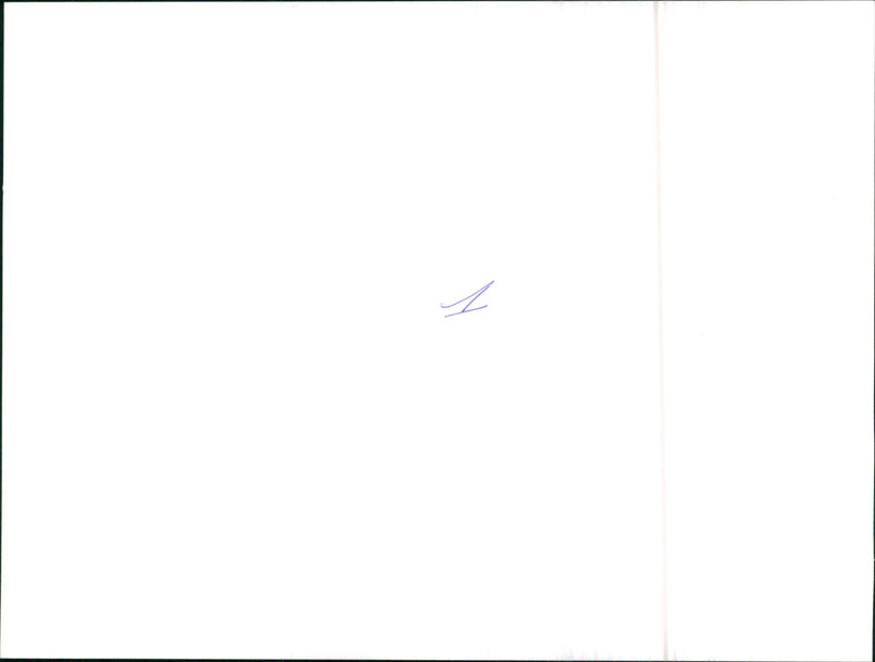 Chevrolet Camaro Z 28 E. - Vintage Photograph