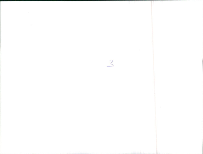 Chevrolet Camaro Z 28 E. - Vintage Photograph