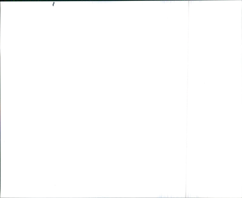 Javelin - Vintage Photograph