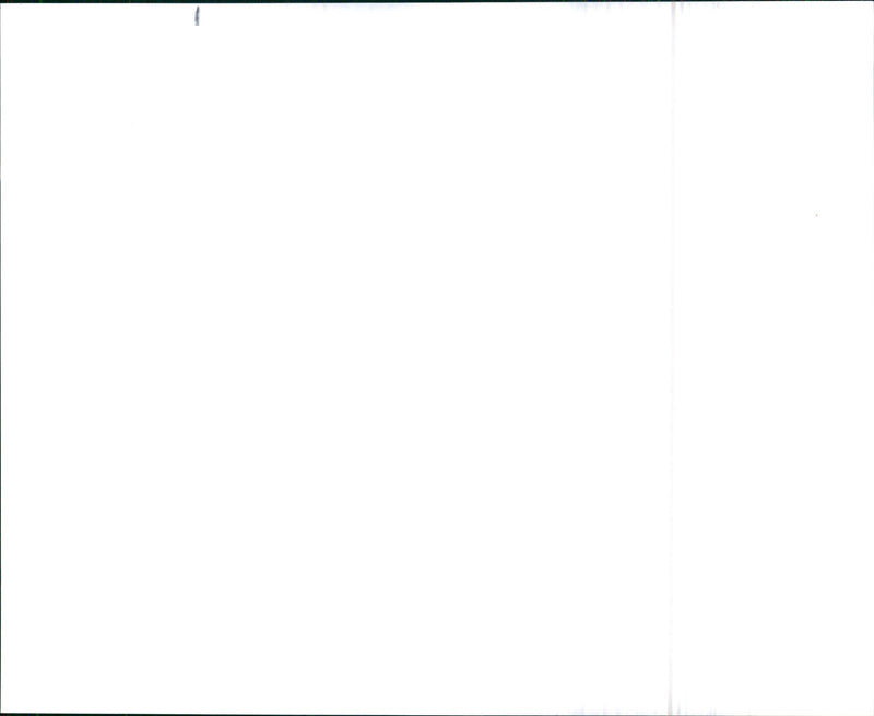 Javelin - Vintage Photograph