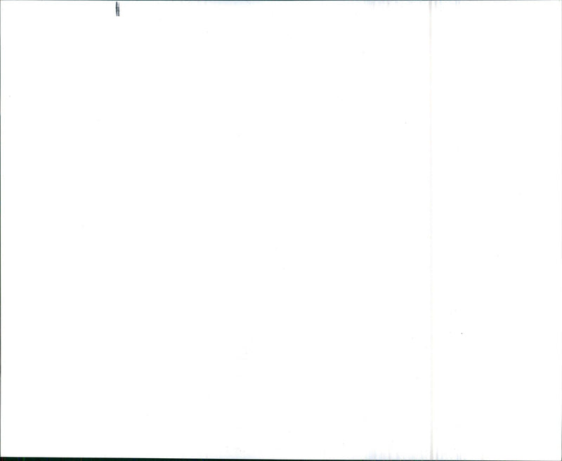 Javelin - Vintage Photograph