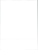 2006 Peugeot Boxer - Vintage Photograph