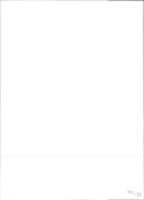 1983 Fiat Uno - Vintage Photograph