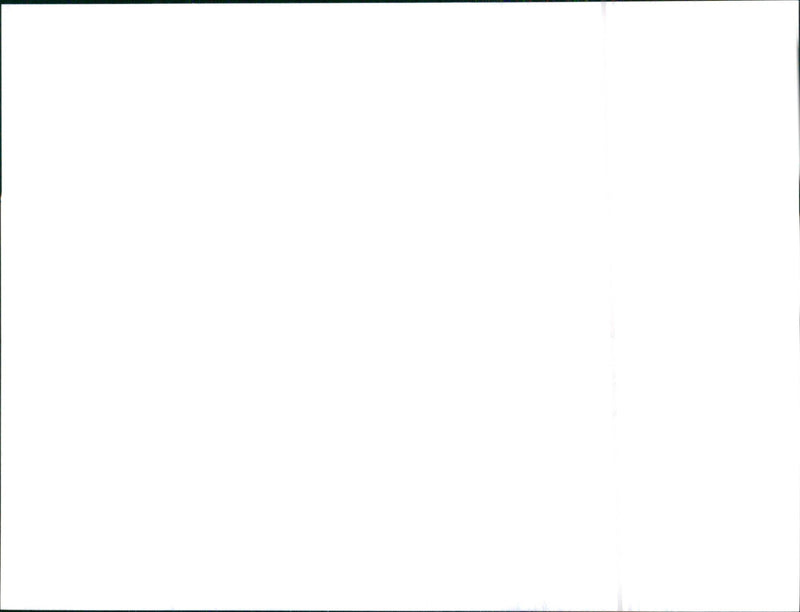 1999 Rover 75 - Vintage Photograph