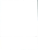 1996 Fiat Palio Weekend - Vintage Photograph