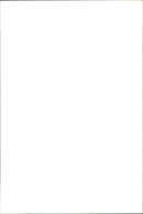 Car Accident - Vintage Photograph