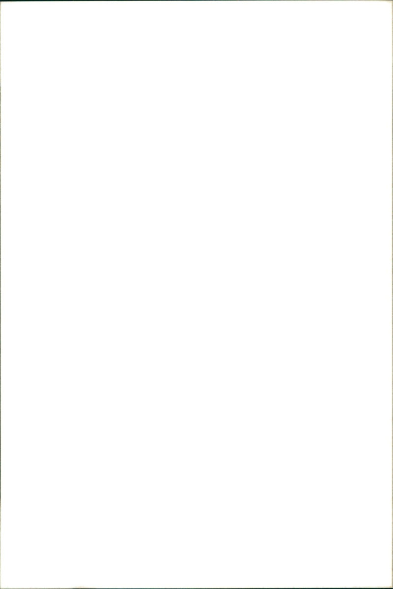 Car Accident - Vintage Photograph