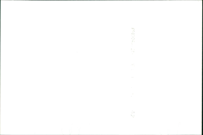 Parade Musicians - Vintage Photograph