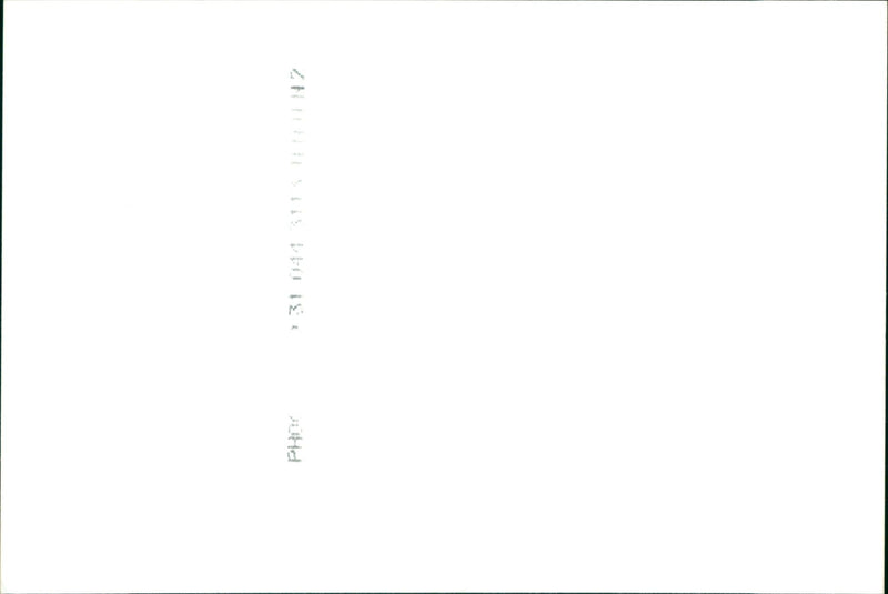 Folly Avenue - Vintage Photograph