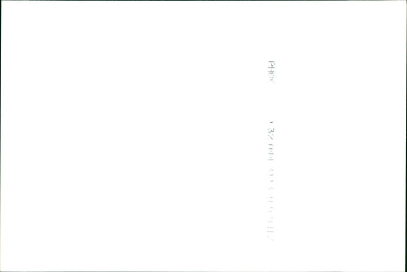 Folly Avenue - Vintage Photograph