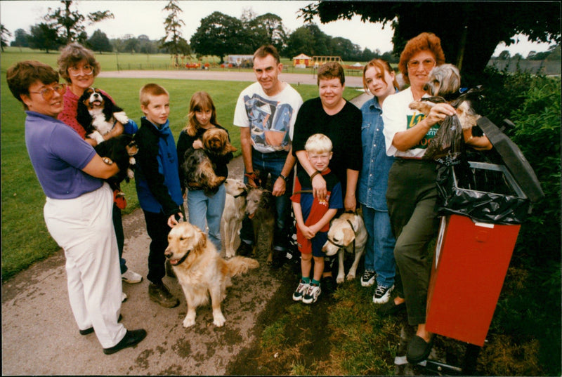 Verulamium Park - Vintage Photograph