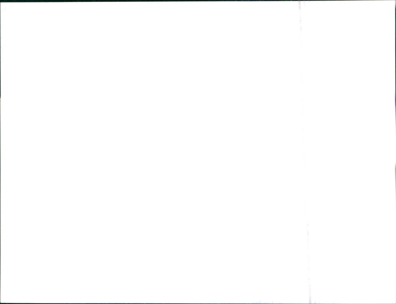 1999 Rover 75 - Vintage Photograph