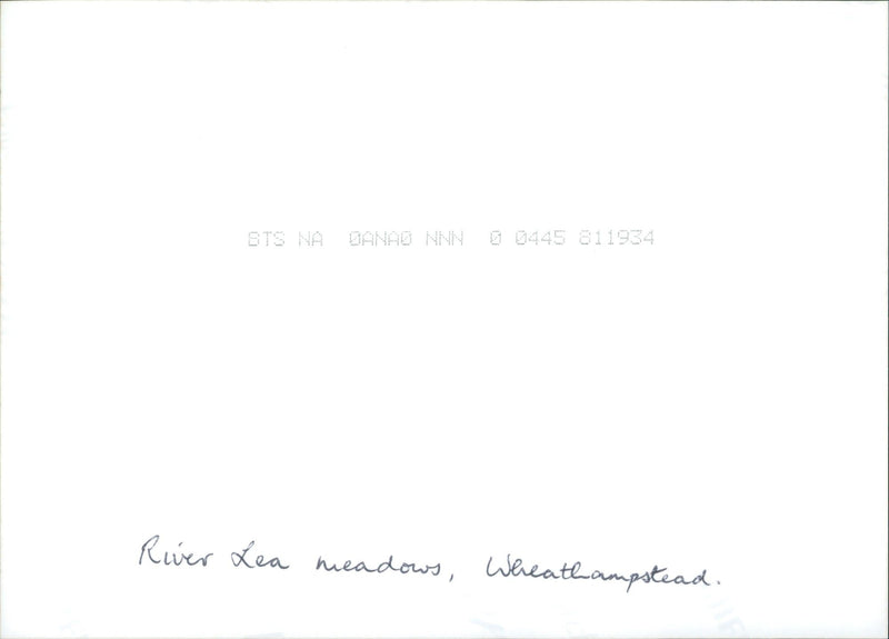 River Lea Meadows - Vintage Photograph