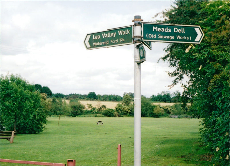 River Lea Meadows - Vintage Photograph
