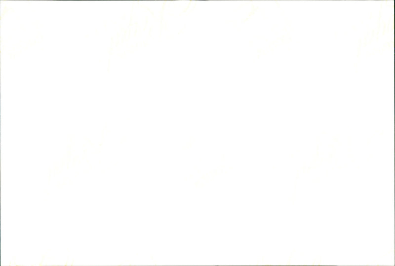 ALEAN VE N. P. y Cenue partelmas Mr Noel Cantillon Herts Business Monthly 63 Ca - Vintage Photograph