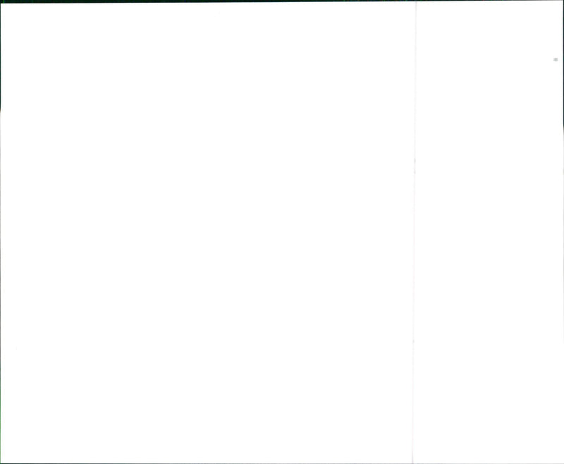 1999 Acura 3.5RL Flagship Luxury Sedan - Vintage Photograph