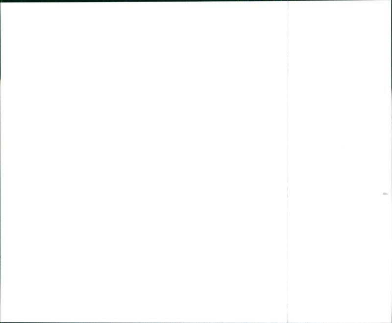 1999 Acura 3.5RL Flagship Luxury Sedan - Vintage Photograph