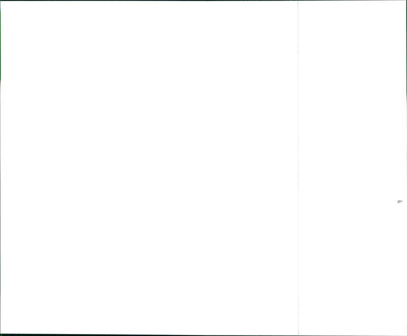 1999 Acura Navigation System/3.5RL Flagship Luxury Sedan - Vintage Photograph