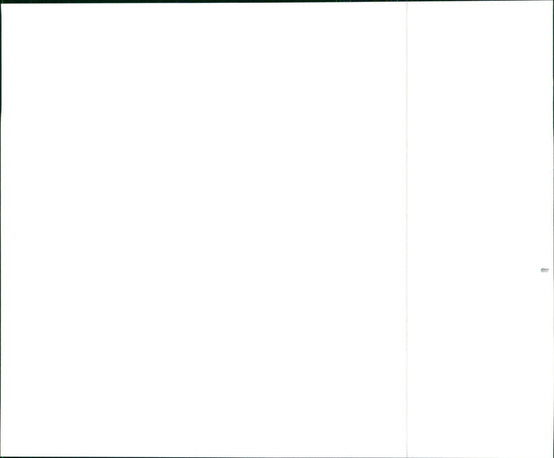 1999 Acura 3.2TL Touring Luxury Sedan - Vintage Photograph