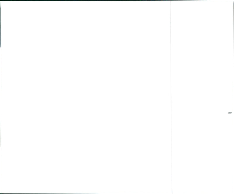 1999 Acura 3.2TL Touring Luxury Sedan - Vintage Photograph