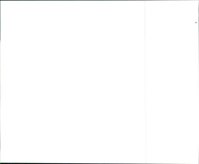 1999 Acura 2.3CL - Vintage Photograph