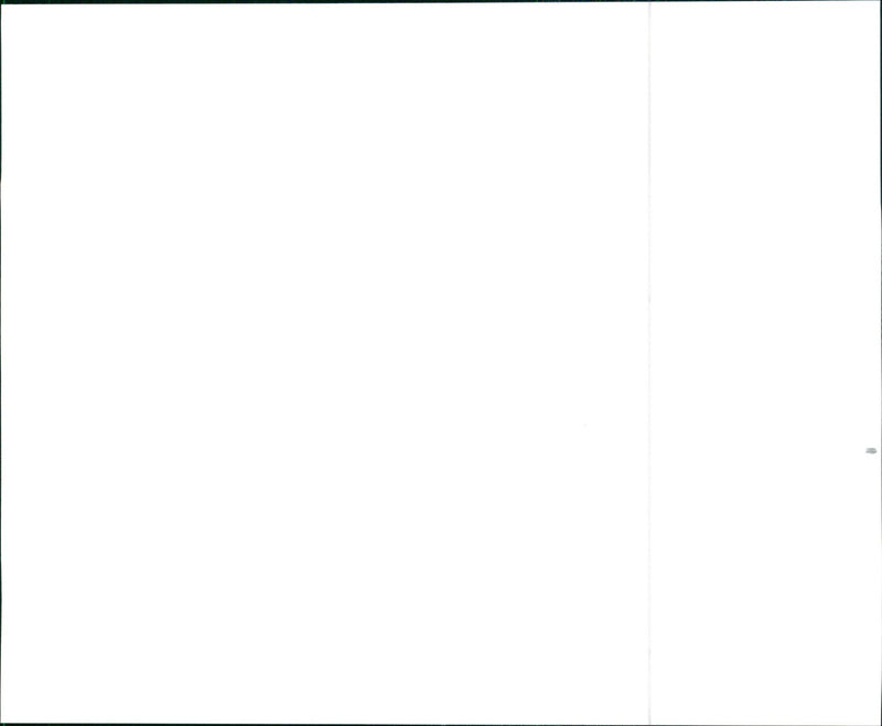 1999 Suzuki Grand Vitara - Vintage Photograph