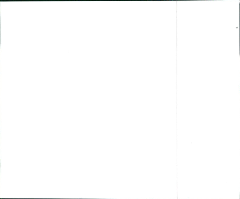 1999 Suzuki Grand Vitara - Vintage Photograph