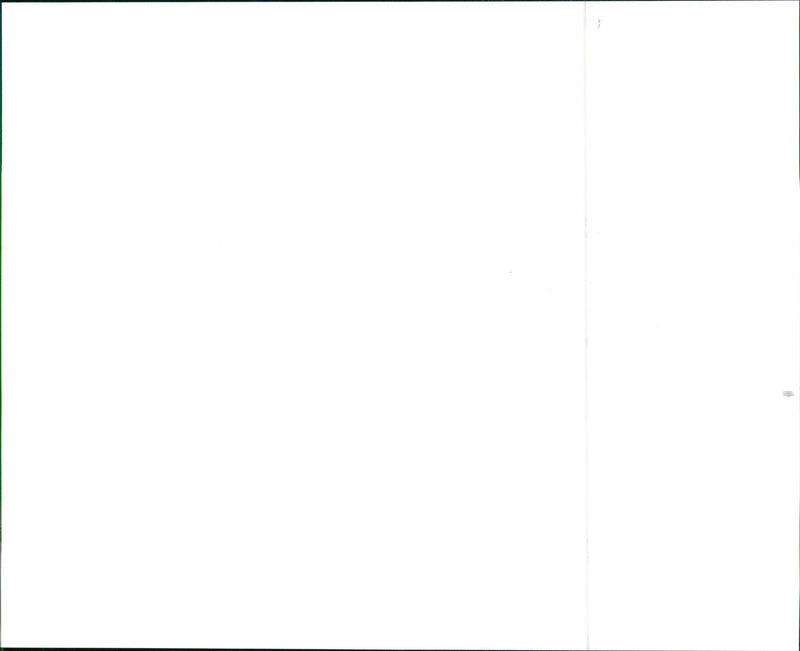 1999 Suzuki Swift - Vintage Photograph