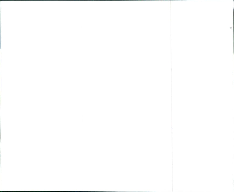 1999 Toyota - Vintage Photograph